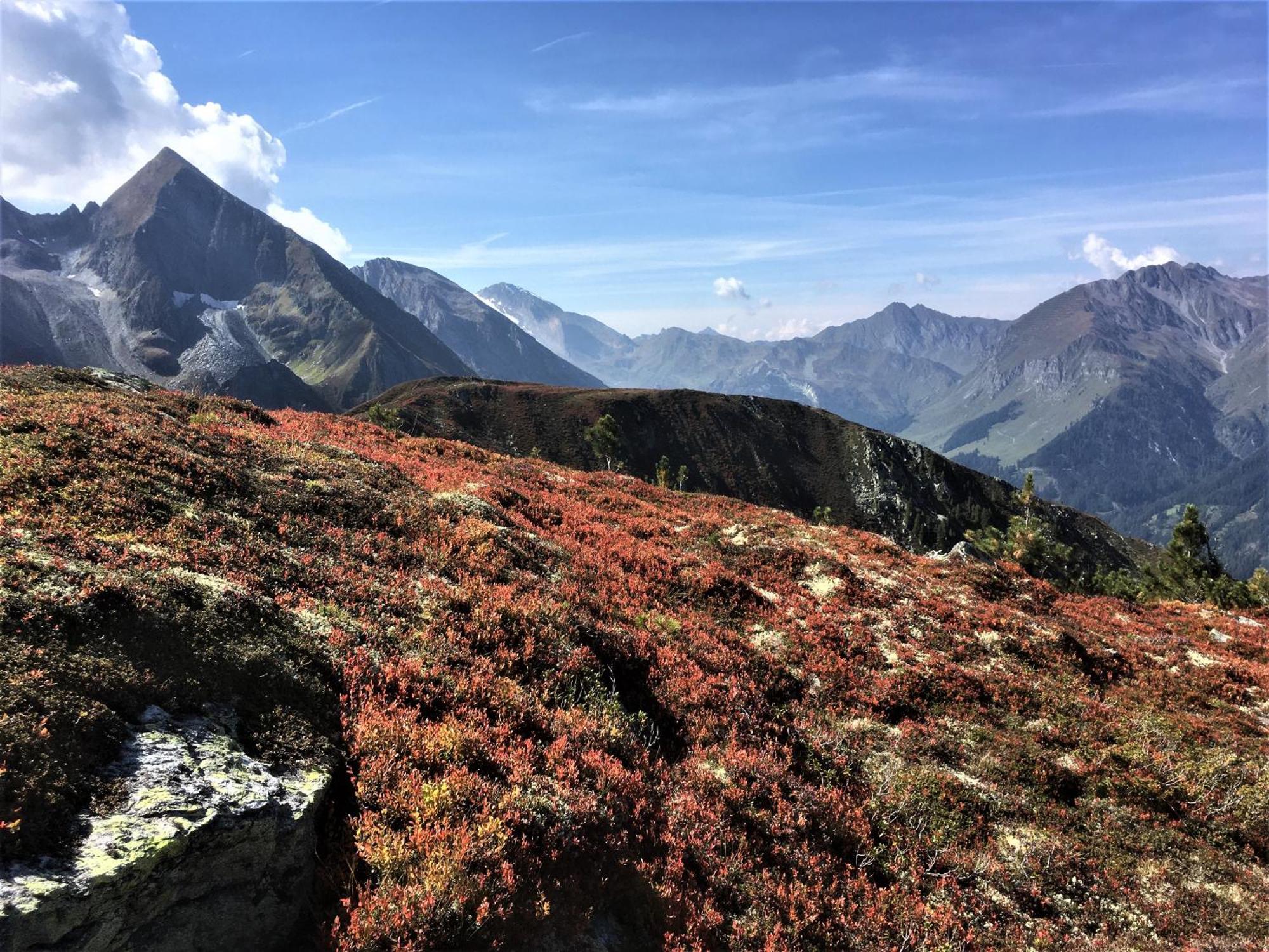 Monas Home Mayrhofen Εξωτερικό φωτογραφία